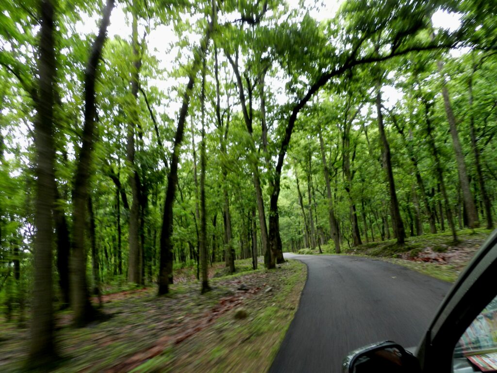 Drive in Kalagarh Tiger Reserve